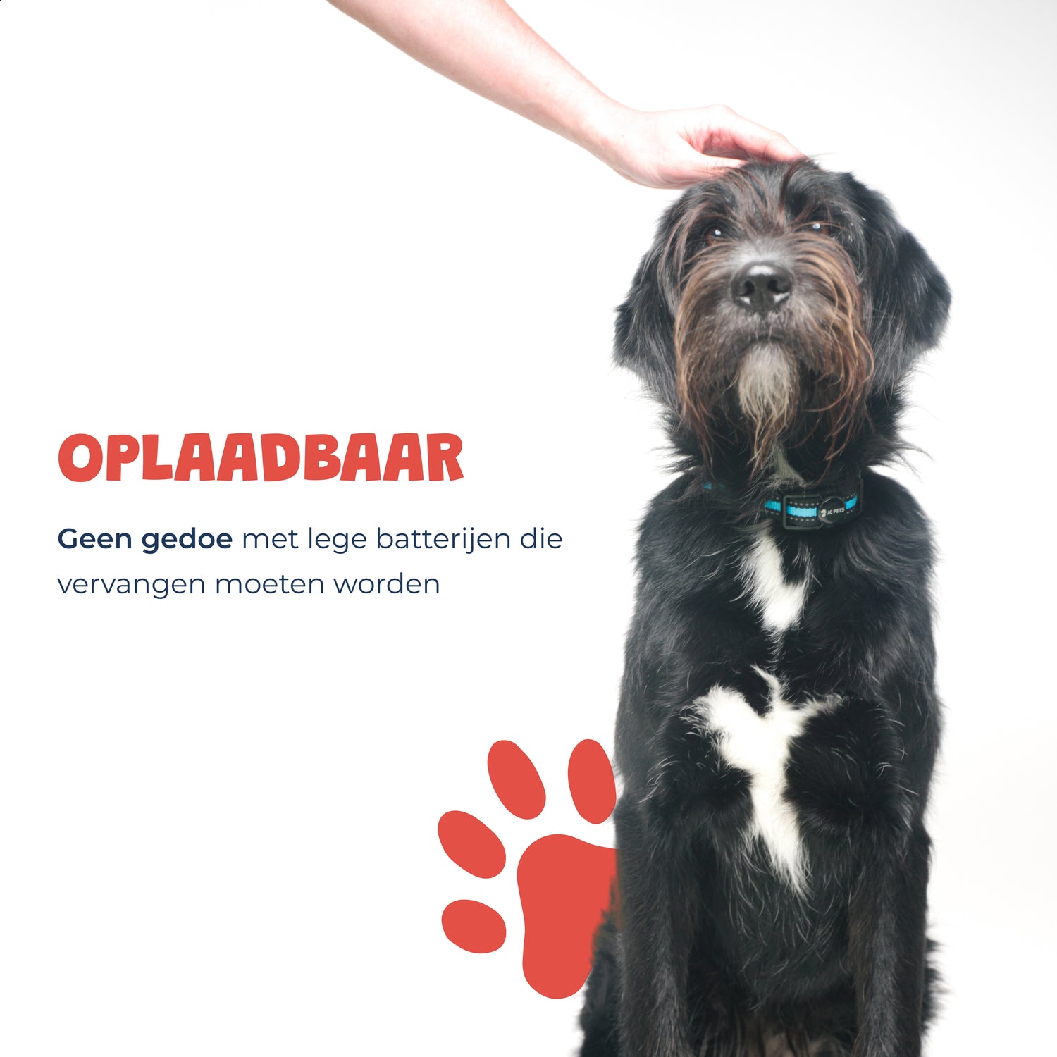 matchmaker Staat Peer Diervriendelijke Anti-Blafband voor honden | oplaadbaar & waterdicht – JC  Pets NL